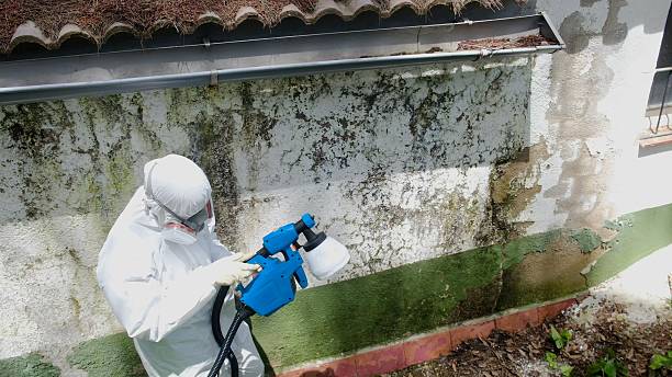 Top rated local Crawl Space Mold Removal specialists in Dupont, CO
